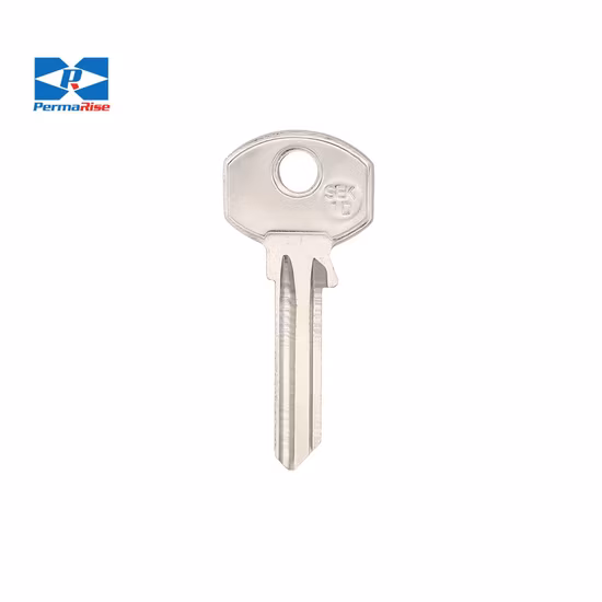 Polo personalizado para hombre, ropa de diseñador al por mayor, estampado liso, bordado, publicidad, ropa de talla grande, suelto, en blanco, para mujer, camiseta Polo Unisex (QH8005)